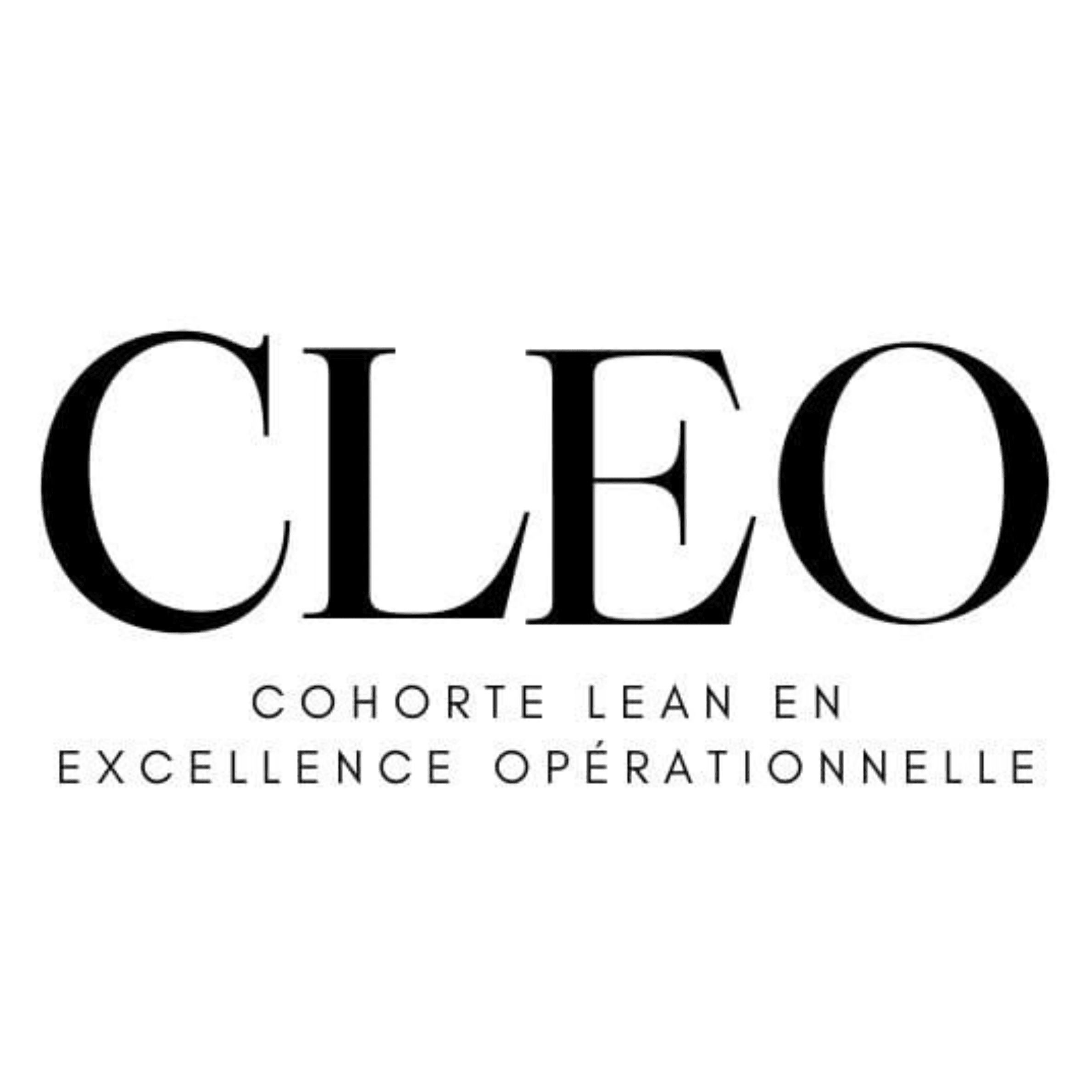 Cohorte lean en excellence opérationnelle